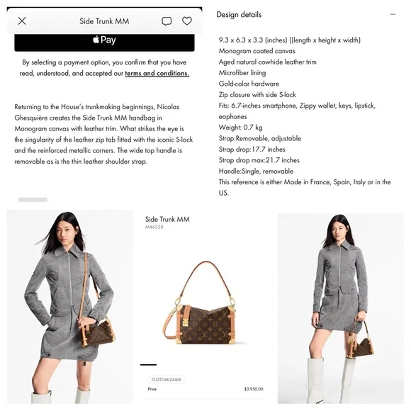 Louis Vuitton side trunk mm - Picture 17 of 17